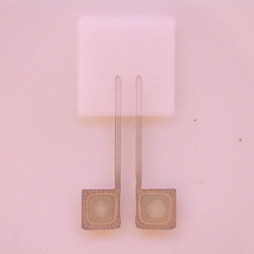 ZnO Biosensor